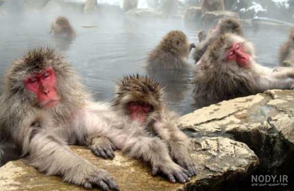 عکس پرچم کشور ژاپن
