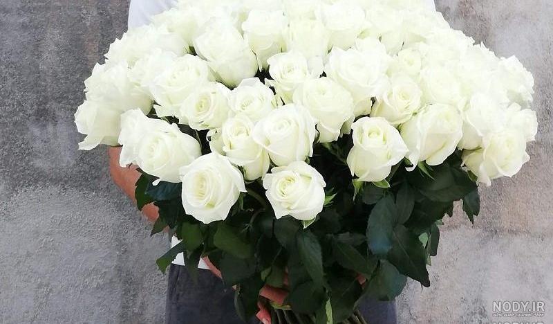 عکس گل داوودی سیاه عکس گل داوودی سیاه