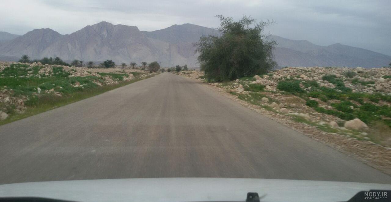 فین بندرعباس