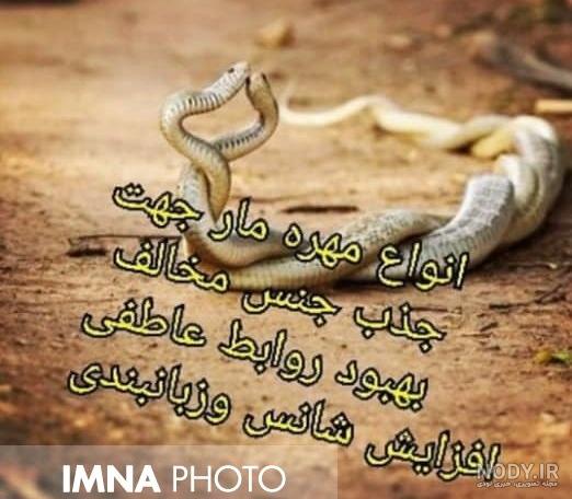 مار دوازده سر