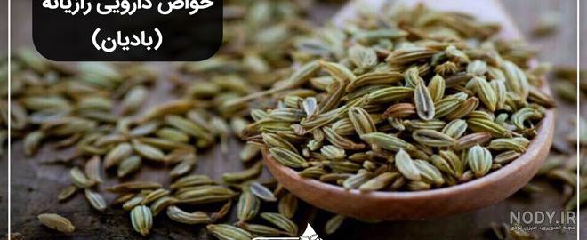 نحوه مصرف رازیانه نحوه مصرف رازیانه