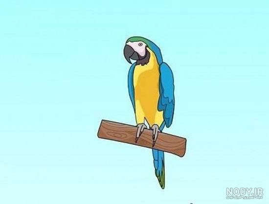 نقاشی طوطی روی شاخه درخت نقاشی طوطی روی شاخه درخت