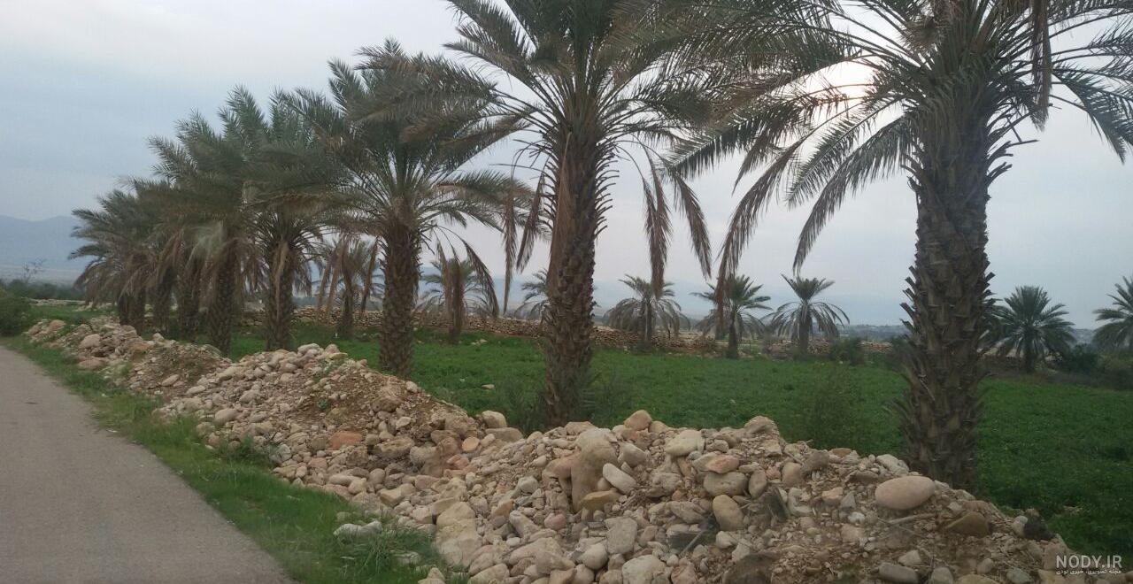نقشه فین هرمزگان