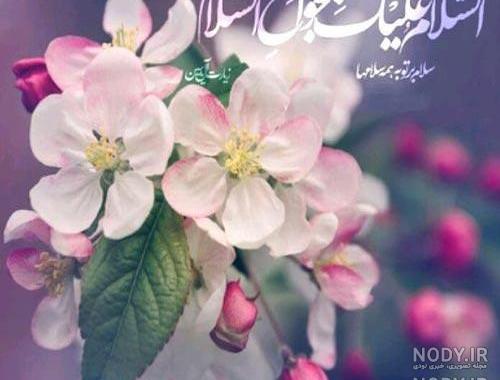 پروفایل عید نوروز و امام زمان