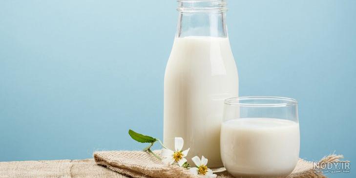 عکس از شیر لبنیات عکس از شیر لبنیات