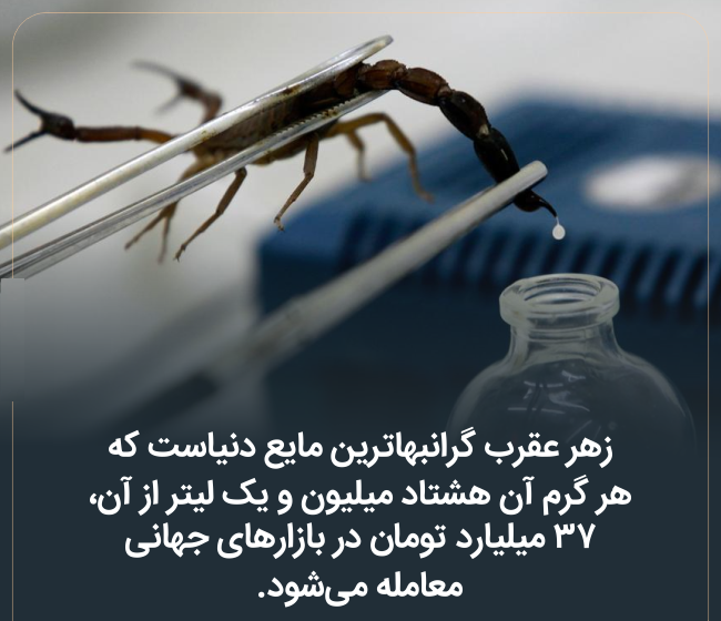 عکس نوشته مفهومی زندگی عکس نوشته مفهومی زندگی