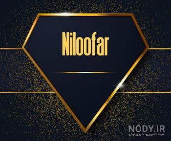معنی اسم نیلوفر با عکس معنی اسم نیلوفر با عکس