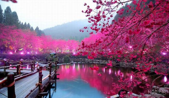 عکس پروفایل طبیعت فانتزی