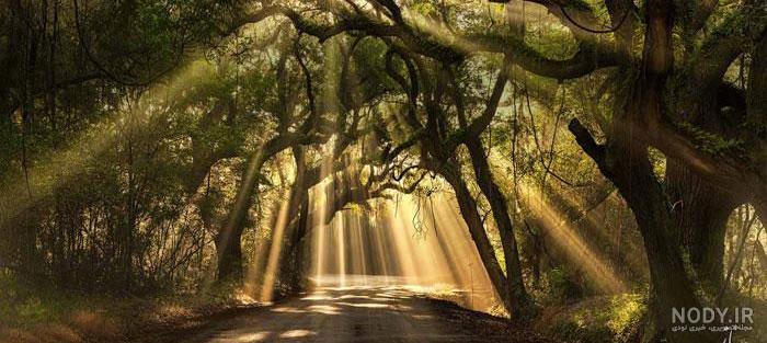 عکس خفن عکس های عجیب و غریب از طبیعت