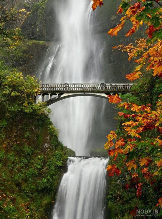 عکس خفن عکس های عجیب و غریب از طبیعت