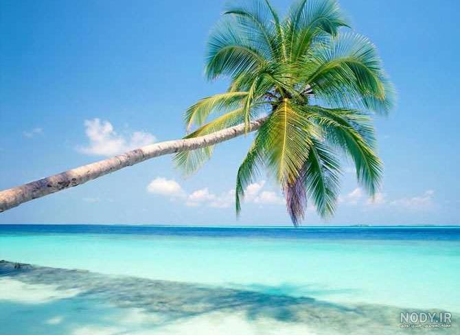 عکس خفن عکس های عجیب و غریب از طبیعت