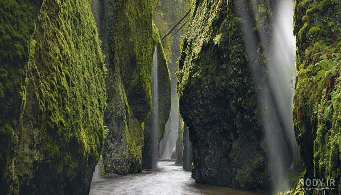 عکس پروفایل طبیعت فانتزی