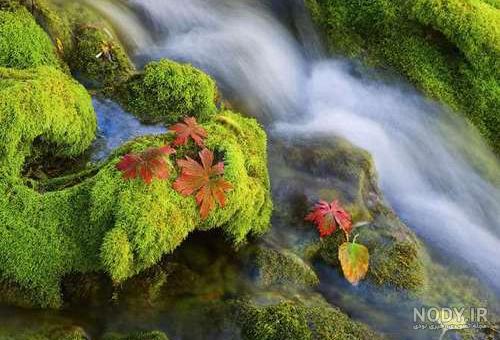 عکس خفن عکس های عجیب و غریب از طبیعت