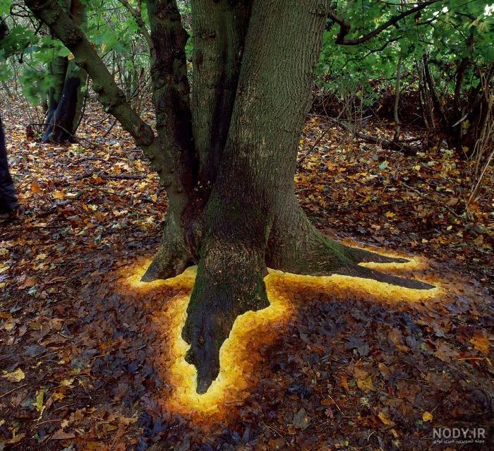 عکس خفن عکس های عجیب و غریب از طبیعت