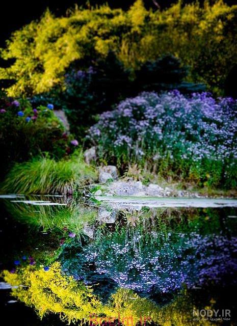 عکس پروفایل طبیعت فانتزی