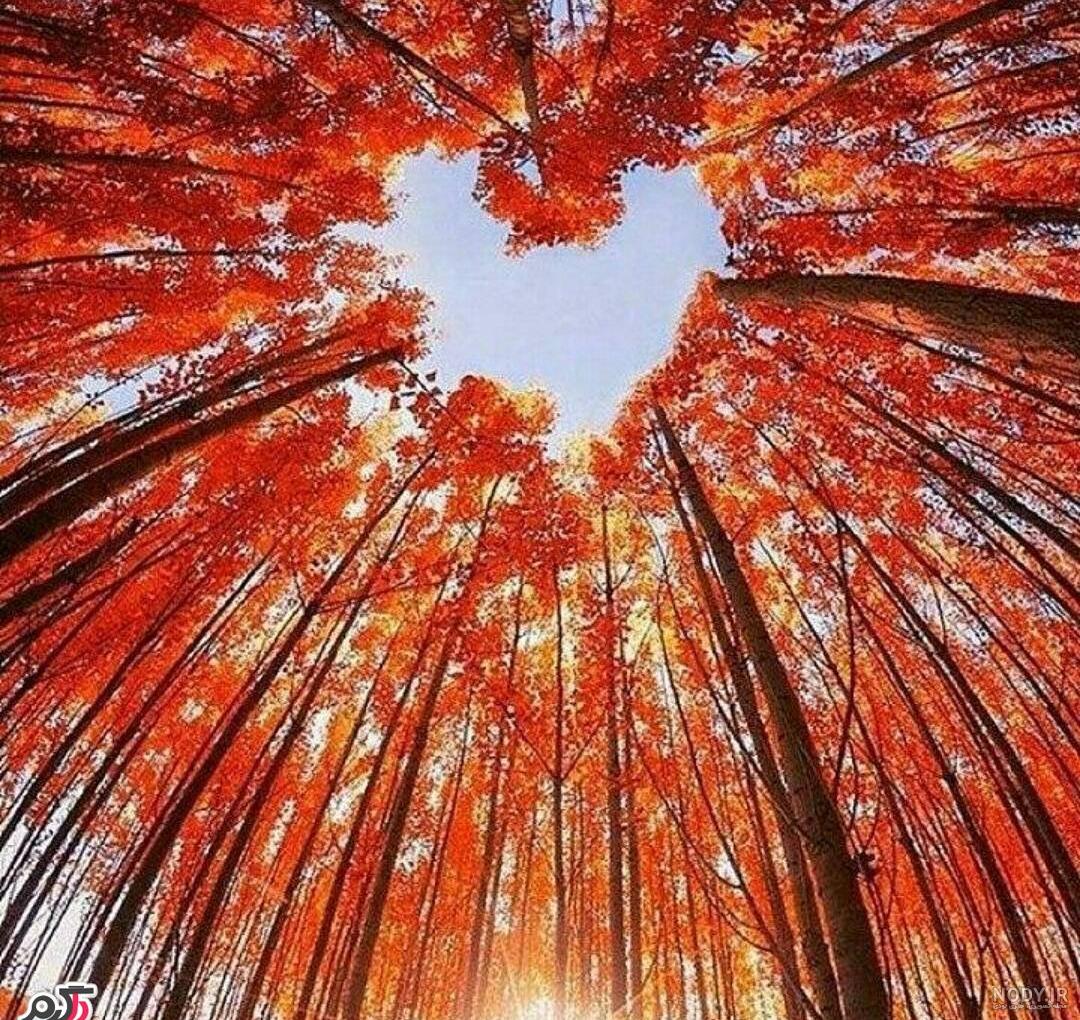 عکس پروفایل طبیعت فانتزی