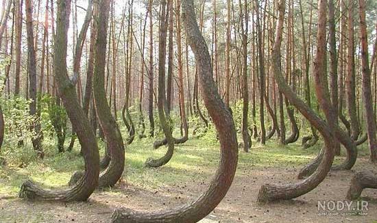 عکس خفن عکس های عجیب و غریب از طبیعت