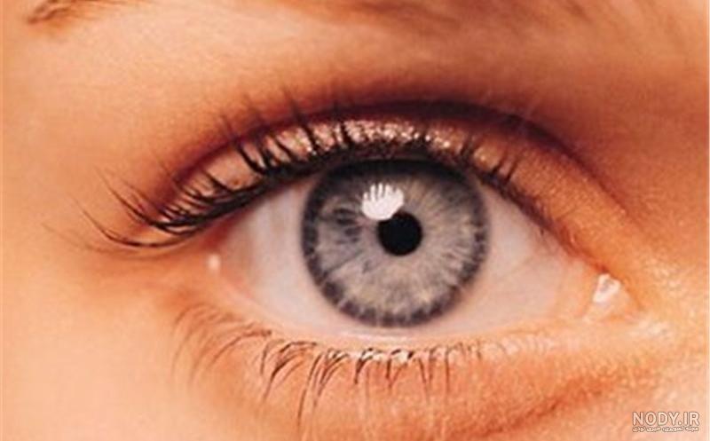 آناتومی چشم به زبان ساده آناتومی چشم به زبان ساده