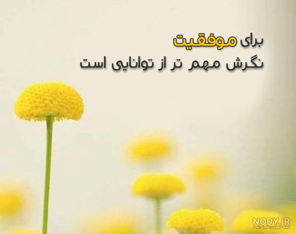 استوری موفقیت و تلاش