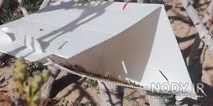 خرید فرمون پروانه چوبخوار پسته خرید فرمون پروانه چوبخوار پسته