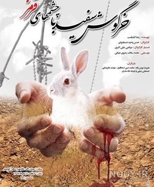 دانلود عکس خرگوش چشم قرمز دانلود عکس خرگوش چشم قرمز