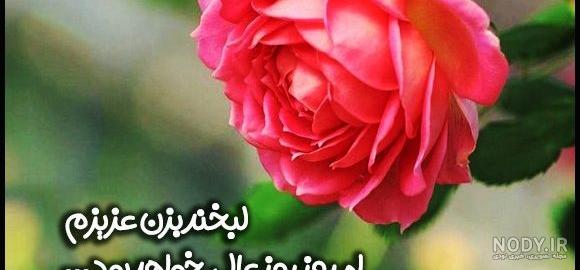 در جواب صبح بخیر چی بگیم به انگلیسی