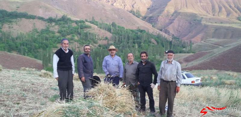 روستای ایستا نی نی سایت