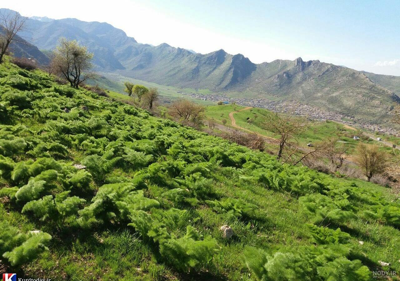 تصاویر زیبا از طبیعت کردستان عکس نودی