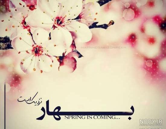 زیباترین عکس بهاری زیباترین عکس بهاری
