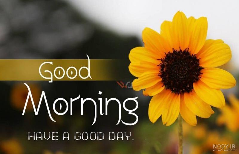 صبح بخیر به انگلیسی