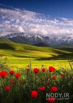 عکس از طبیعت عکس از طبیعت