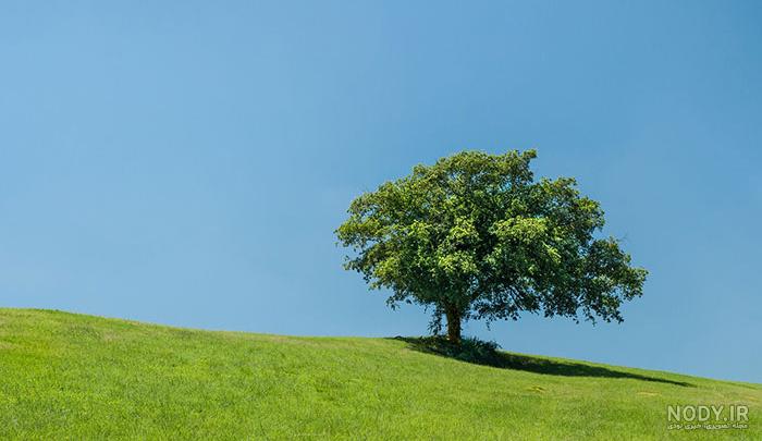 عکس از طبیعت زیبا عکس از طبیعت زیبا