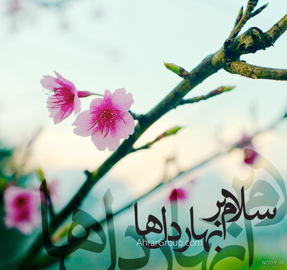 عکس امام زمان در مکه عکس امام زمان در مکه