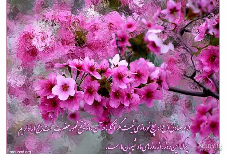 عکس امام زمان در مکه عکس امام زمان در مکه