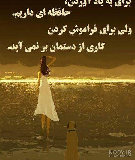 عکس امید به زندگی بدون متن عکس امید به زندگی بدون متن