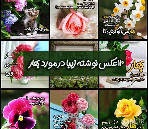 عکس بهاری زیبا عکس بهاری زیبا