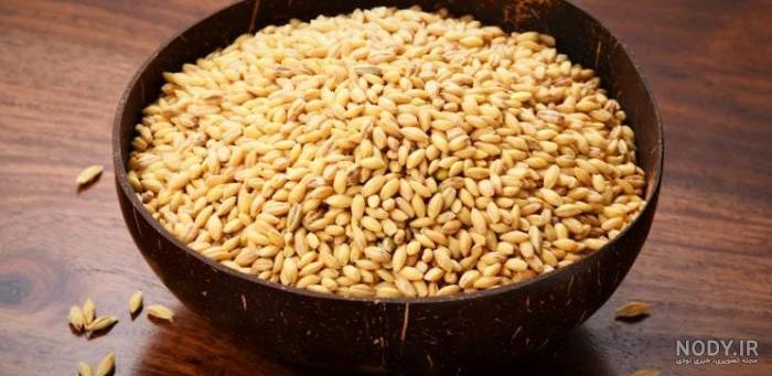 عکس جو دوسر پرک عکس جو دوسر پرک