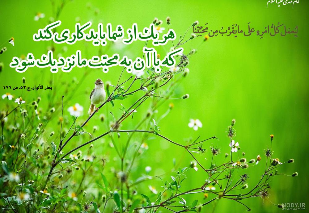عکس دیده شدن امام زمان