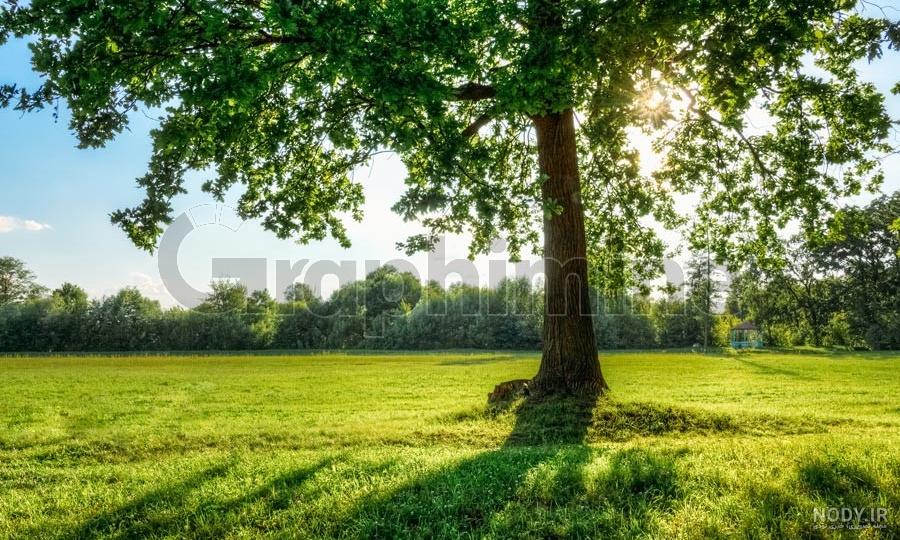 عکس طبیعت با کیفیت 4k عکس طبیعت با کیفیت 4k