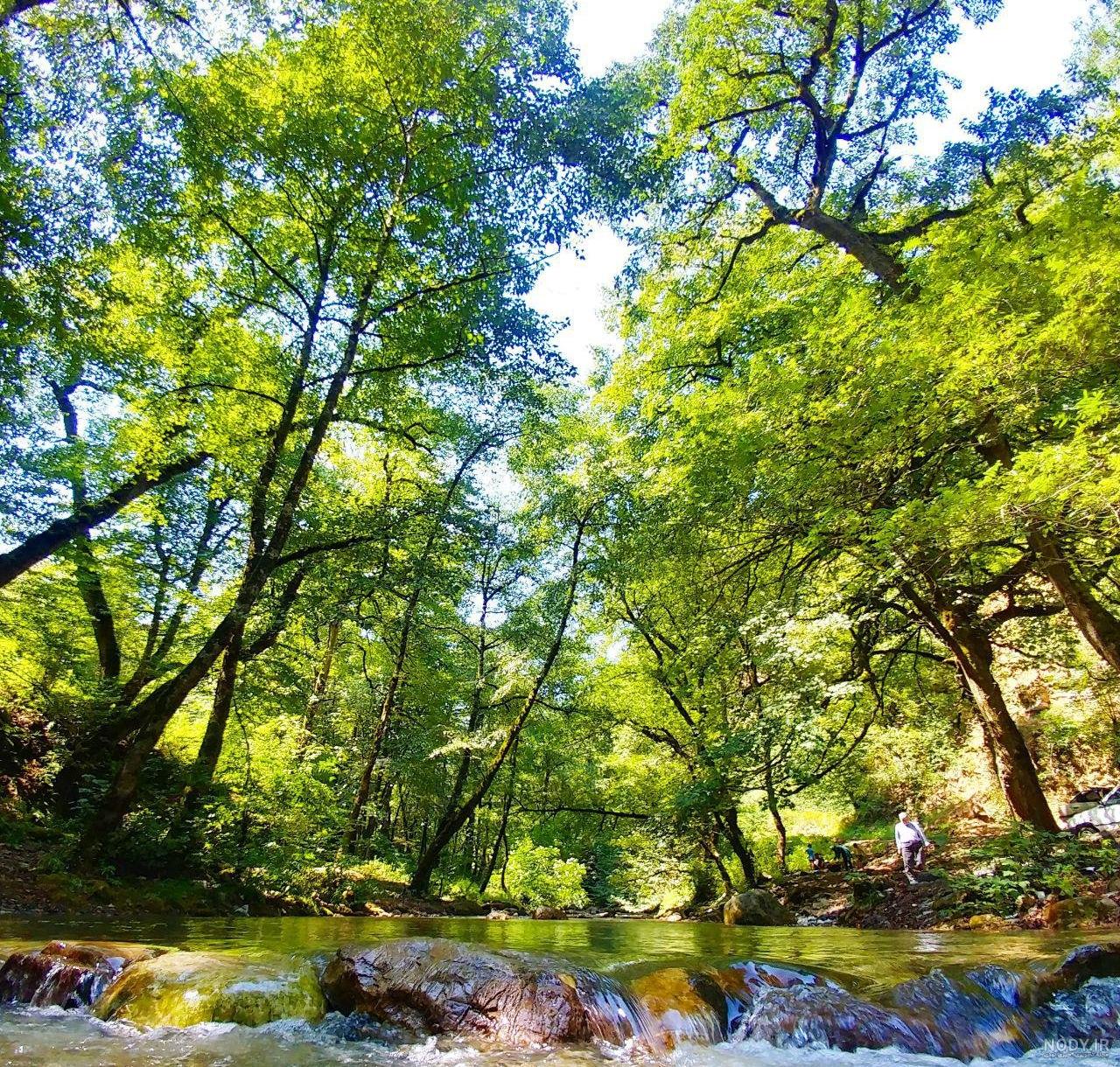 عکس طبیعت رویایی زیبا عکس طبیعت رویایی زیبا