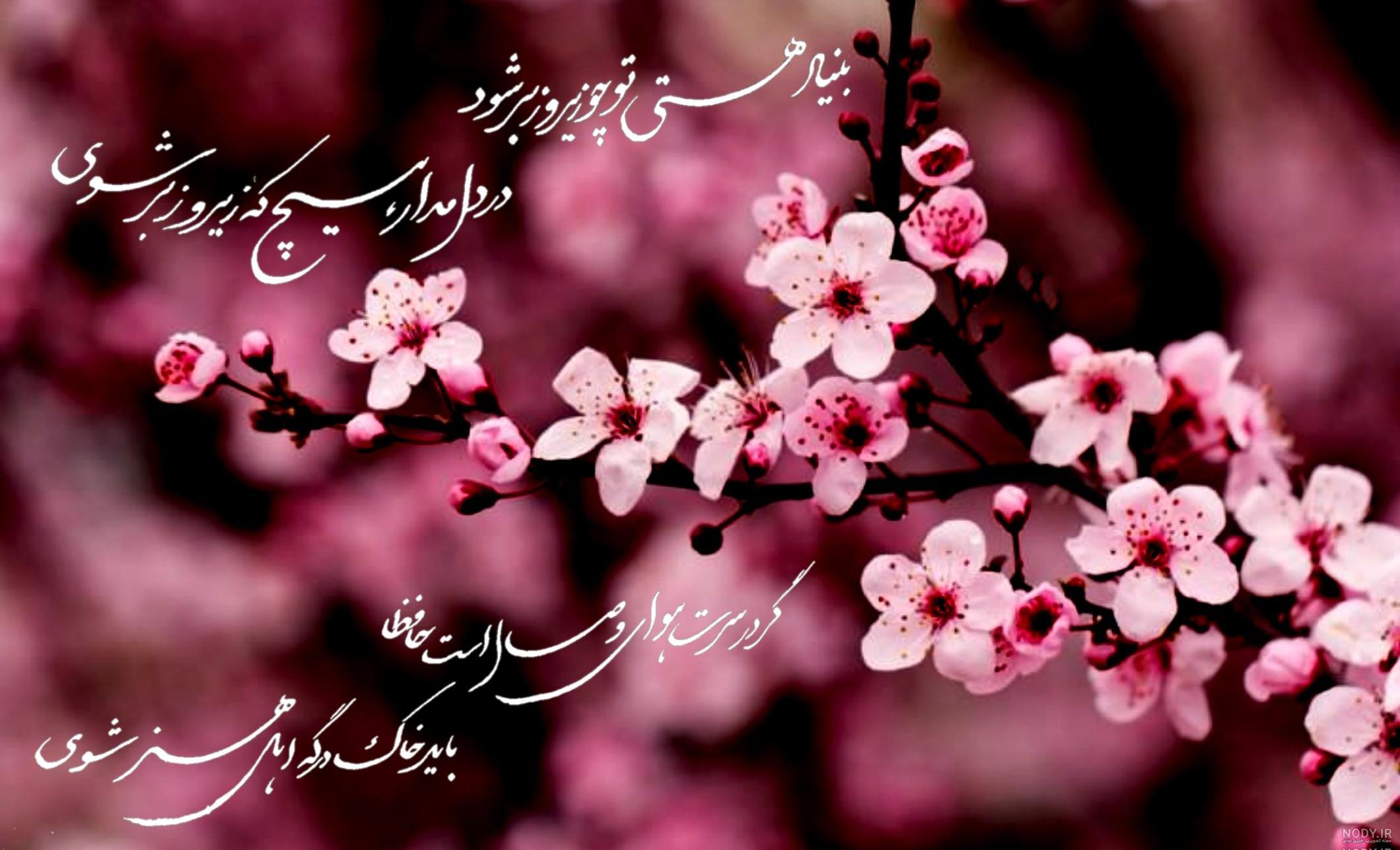 عکس مذهبی پروفایل امام زمان عکس مذهبی پروفایل امام زمان