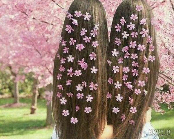 عکس گل بهاری شیک عکس گل بهاری شیک