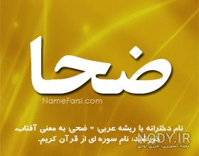 فیلم ضحا فیلم ضحا