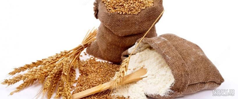 قیمت آرد جو دام قیمت آرد جو دام