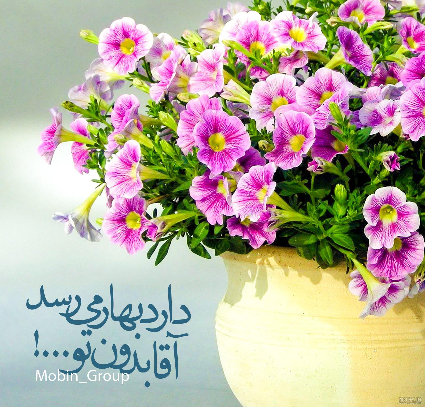 پروفایل امام زمان دخترانه پروفایل امام زمان دخترانه
