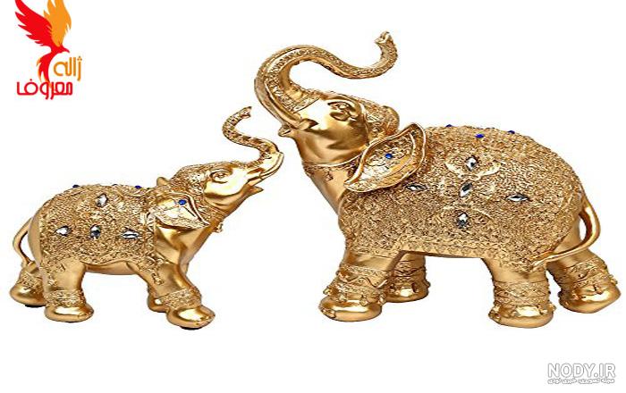 کاکتوس در فنگ شویی کاکتوس در فنگ شویی