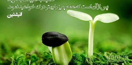کلیپ امید به زندگی برای وضعیت واتساپ کلیپ امید به زندگی برای وضعیت واتساپ