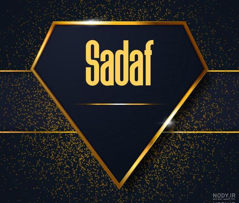 طبقه بندی صدف ها
