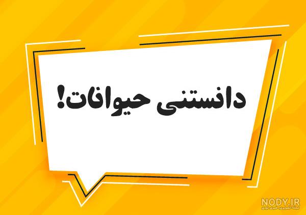 عکس دانستنی ها