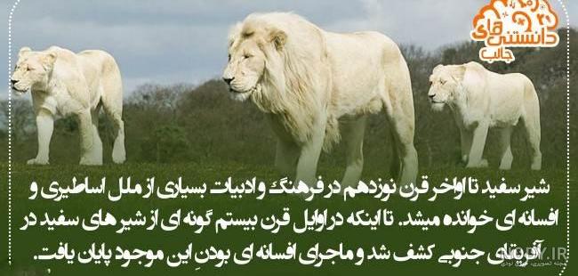 عکس دانستنی های علمی